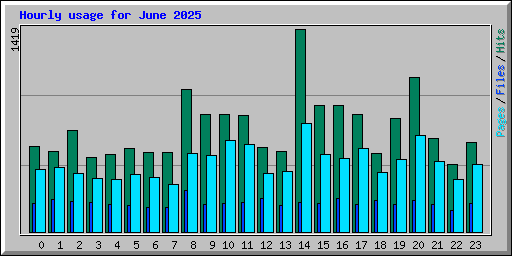 Hourly usage for June 2025