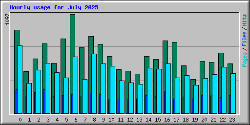 Hourly usage for July 2025