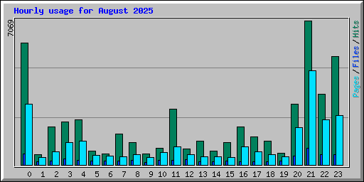 Hourly usage for August 2025