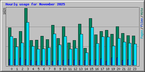 Hourly usage for November 2025