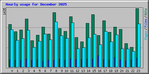 Hourly usage for December 2025