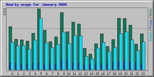 Hourly usage for January 2026