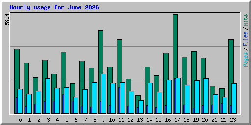 Hourly usage for June 2026