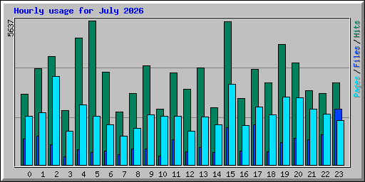 Hourly usage for July 2026